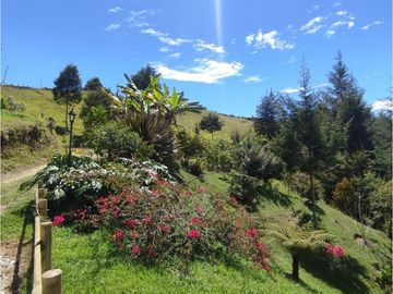 Finca en venta Marinilla 41.000 m2 hermosa panorámica RG