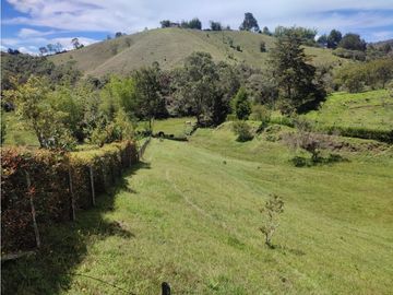 Finca en venta Marinilla 41.000 m2 hermosa panorámica RG