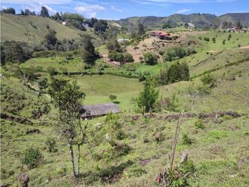 Finca en venta Marinilla 41.000 m2 hermosa panorámica RG