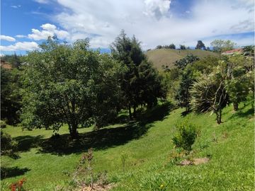Finca en venta Marinilla 41.000 m2 hermosa panorámica RG