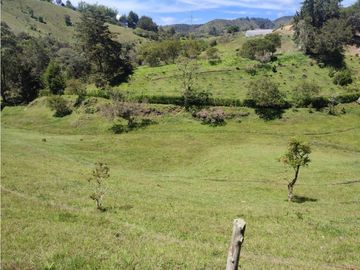 Finca en venta Marinilla 41.000 m2 hermosa panorámica RG