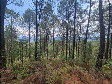 EXCLUSIVO TERRENO || ZONA ALTA PLUSVALA