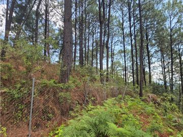 EXCLUSIVO TERRENO || ZONA ALTA PLUSVALA