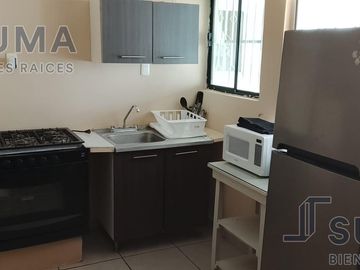 DEPARTAMENTO AMUEBLADO PLANTA BAJA  EN RENTA EN COL. PETROLERA, TAMPICO TAMAULIPAS.