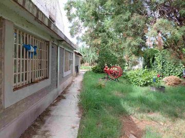 Venta Finca 45 Has con Pozo - La Pega, Lavalle Mza