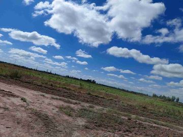 Venta Finca 45 Has con Pozo - La Pega, Lavalle Mza