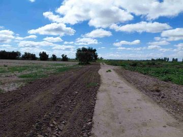 Venta Finca 45 Has con Pozo - La Pega, Lavalle Mza