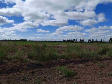 Venta Finca 45 Has con Pozo - La Pega, Lavalle Mza