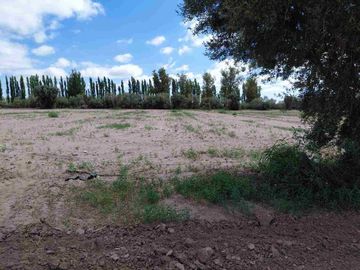 Venta Finca 45 Has con Pozo - La Pega, Lavalle Mza