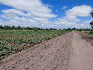 Venta Finca 45 Has con Pozo - La Pega, Lavalle Mza