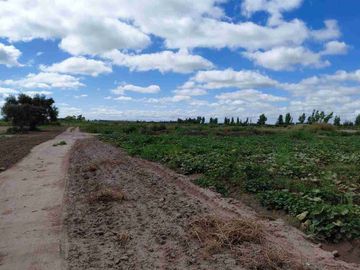 Venta Finca 45 Has con Pozo - La Pega, Lavalle Mza