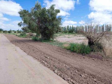 Venta Finca 45 Has con Pozo - La Pega, Lavalle Mza