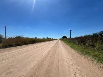 VENTA 1.5 HECTAREAS EN  SAN MIGUEL DEL MONTE