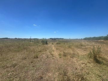 VENTA 1.5 HECTAREAS EN  SAN MIGUEL DEL MONTE