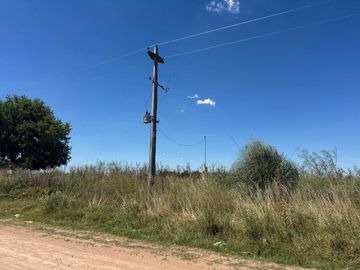 VENTA 1.5 HECTAREAS EN  SAN MIGUEL DEL MONTE