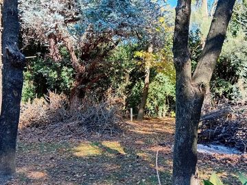 Venta terreno, 2812 M2 a 3 cuadras de R9 Zarate