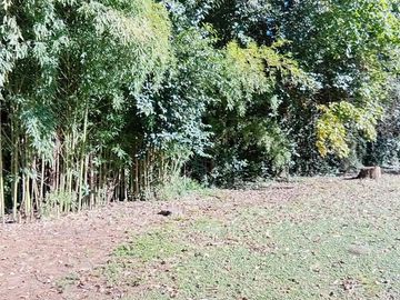 Venta terreno, 2812 M2 a 3 cuadras de R9 Zarate
