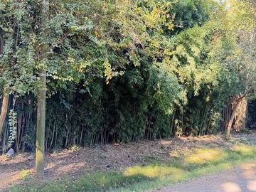 Venta terreno, 2812 M2 a 3 cuadras de R9 Zarate