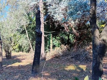 Venta terreno, 2812 M2 a 3 cuadras de R9 Zarate