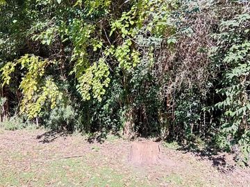 Venta terreno, 2812 M2 a 3 cuadras de R9 Zarate