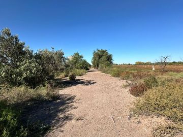 FINCA EN VENTA EN SAN MARTIN DE 37 HECTAREAS
