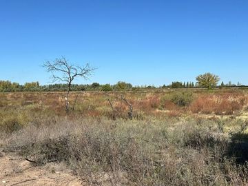 FINCA EN VENTA EN SAN MARTIN DE 37 HECTAREAS