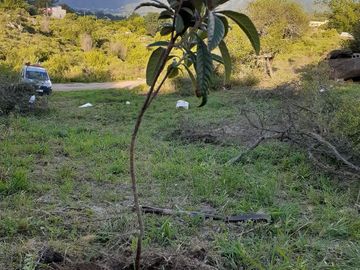 VENTA  Espectacular Lote 1000  SIQUIMAN