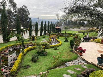 Venta Casa con Piscina Puembo