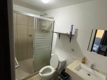 Departamento en renta en Músala Isla Bonita, Culiacán, Sinaloa