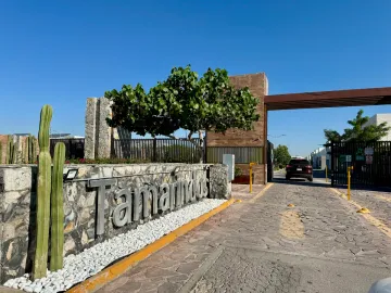 Casa en Venta en Las Quintas, Torreón, Coahuila de Zaragoza