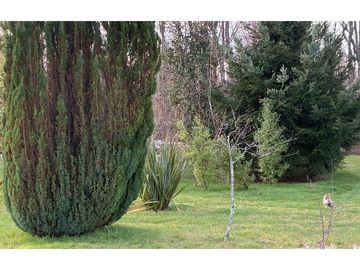 Terreno con galpón, 2 cabañas y vista al volcán