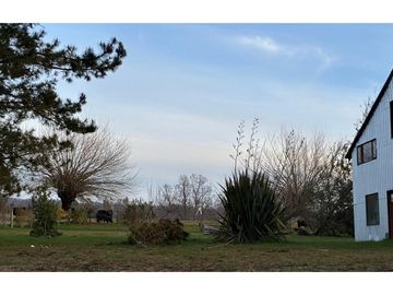 Terreno con galpón, 2 cabañas y vista al volcán