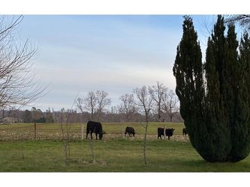 Terreno con galpón, 2 cabañas y vista al volcán