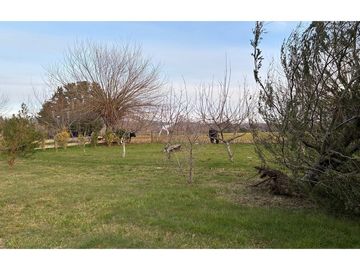 Terreno con galpón, 2 cabañas y vista al volcán
