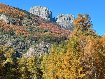 Venta Campo Curarrehue