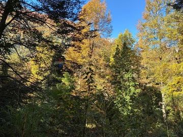 Venta Campo Curarrehue