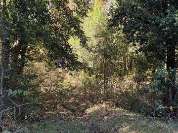 Venta Campo Curarrehue