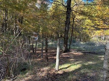 Venta Campo Curarrehue