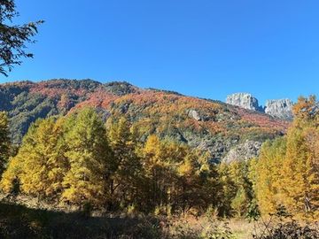 Venta Campo Curarrehue