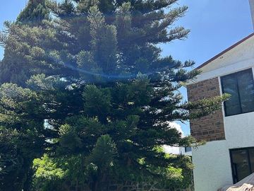 Renta de casa en Tlalpan