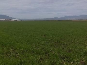 Terreno en venta, San Antonio la Isla, Estado de México