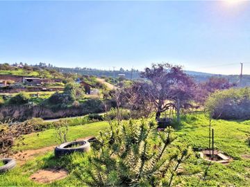 Parcela con casa en venta en Limache, 5.000 m2. - 125 M$