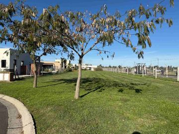 VENTA LOTE SANTA EMILIA PILAR DEL ESTE