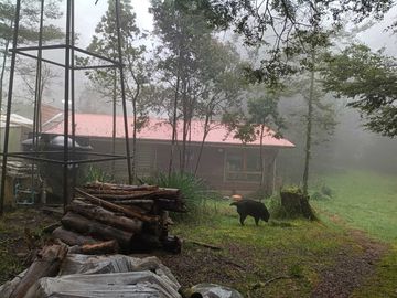 Parcela en venta  en VALDIVIA