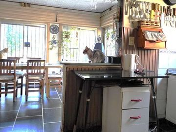 Casa 4 amb/Jardín/cocheras. Única! Caseros