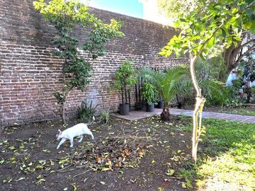 Casa 4 amb/Jardín/cocheras. Única! Caseros