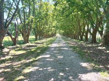 VENTA CASA 306 M2 CON PILETA EN LOTE DE 14.000 M2