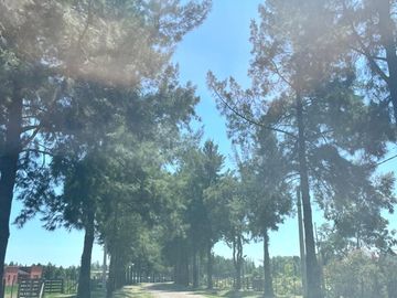 VENTA CASA 306 M2 CON PILETA EN LOTE DE 14.000 M2