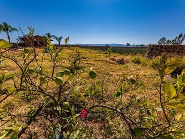 Terreno en Venta con Bodega para usos múltiples Zapotlan del Rey