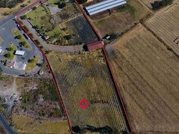 Terreno en Venta con Bodega para usos múltiples Zapotlan del Rey